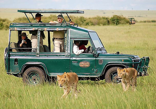 Kenya Holiday Package – Big Five Safari