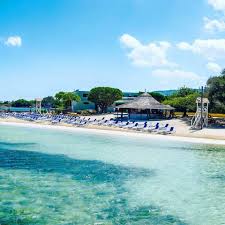 Day 4 TROPICAL BLISS