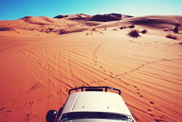 Morning Desert Safari Dubai | Standard 150د.إ